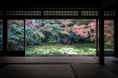 晩秋の瑠璃光院4