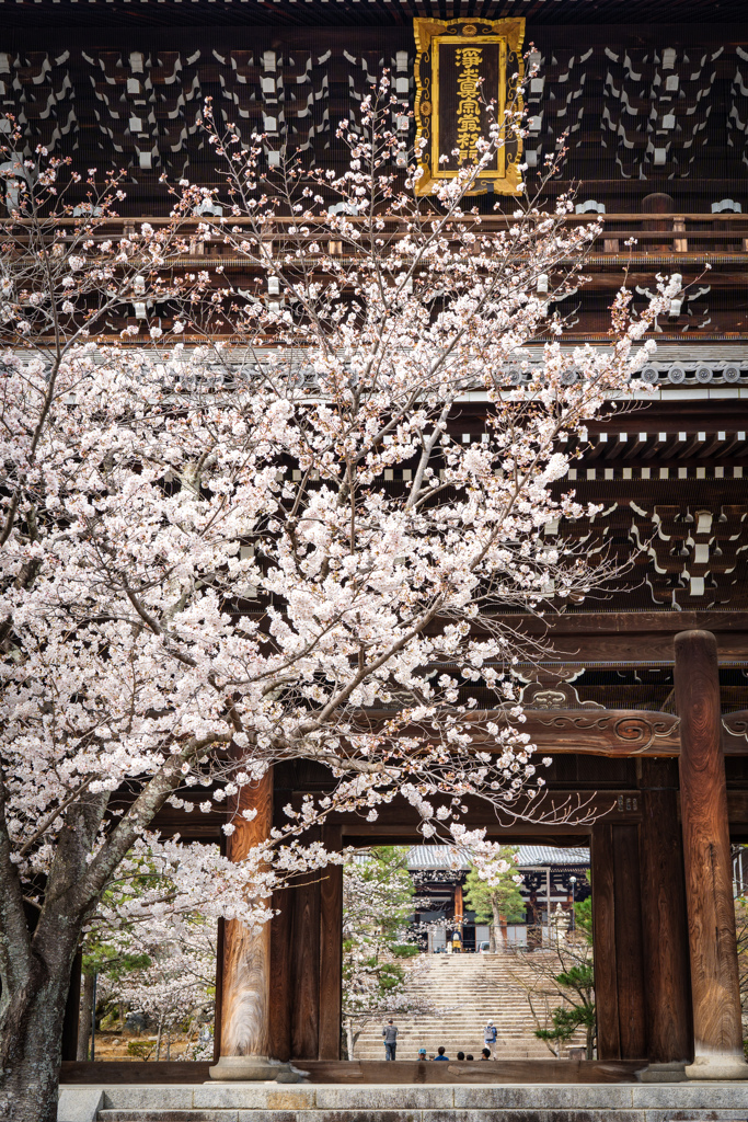 金戒光明寺