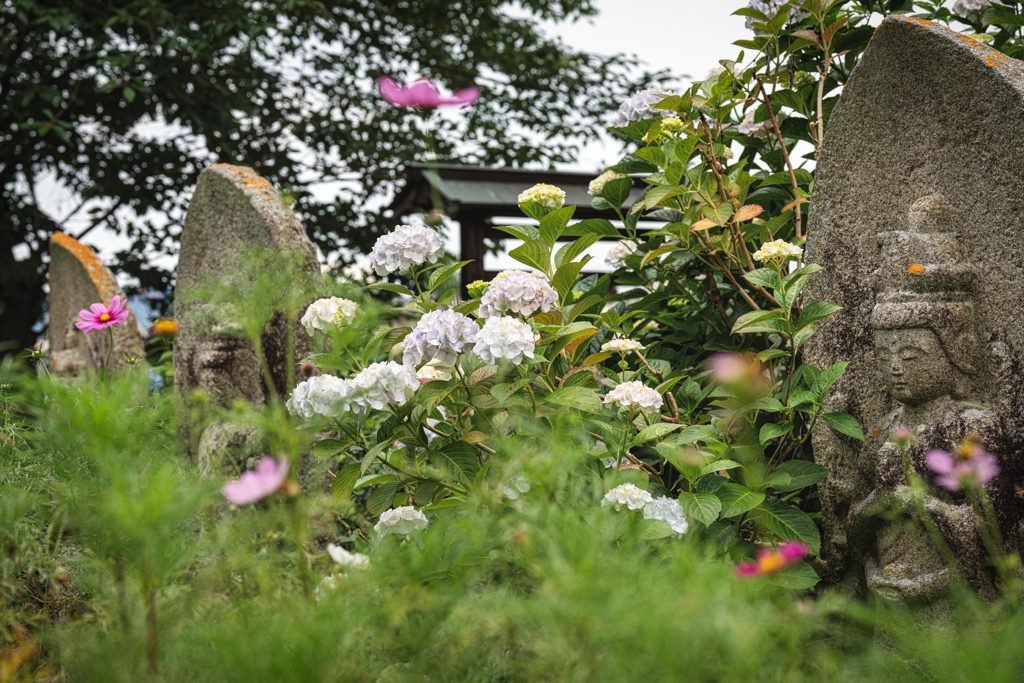 般若寺1