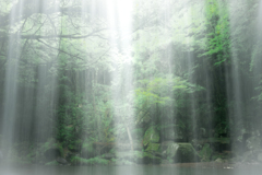 ウォーターカーテン