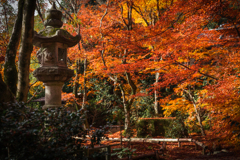 秋の直指庵1