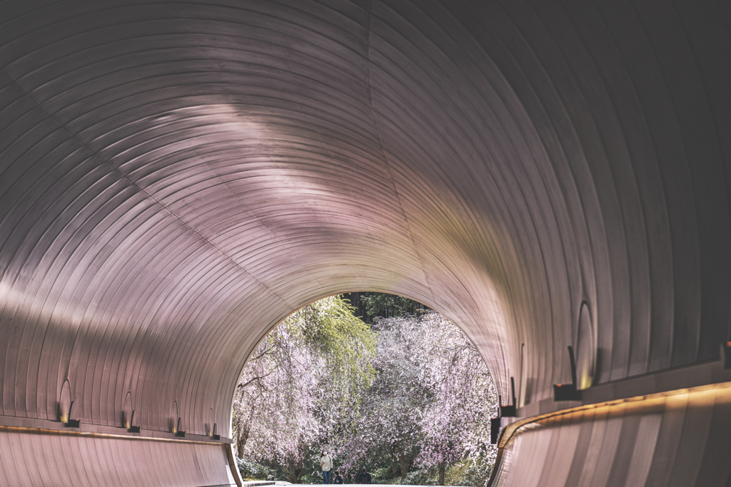 桜色のトンネル1