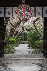 ようこそ雨宝院へ