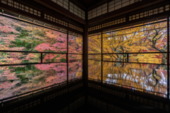 秋の瑠璃光院1