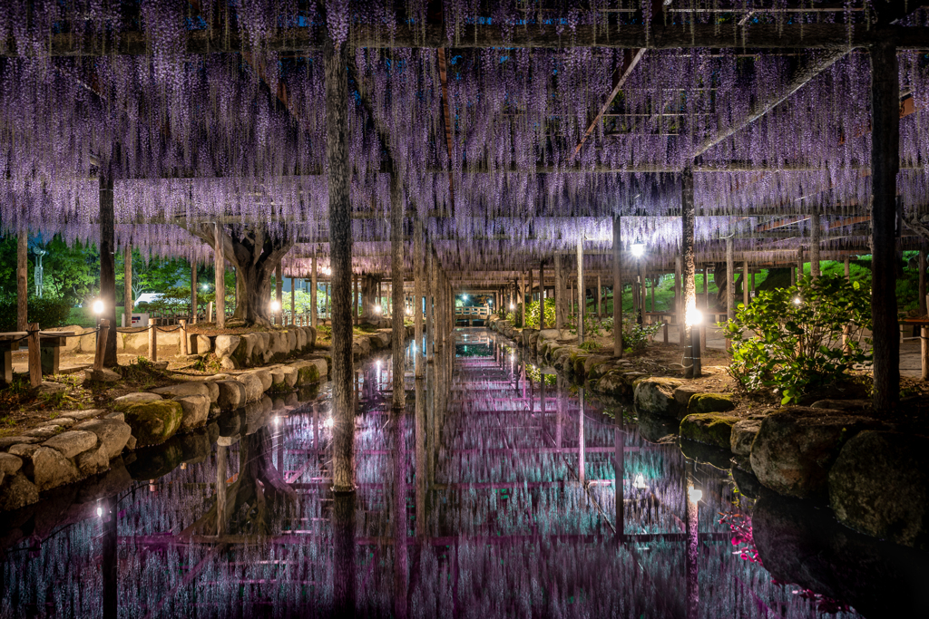 天王川公園1