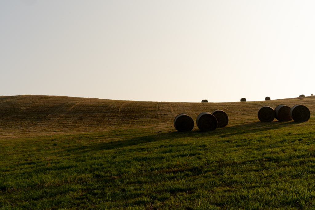 ロールのある景色