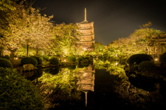 夜の東寺