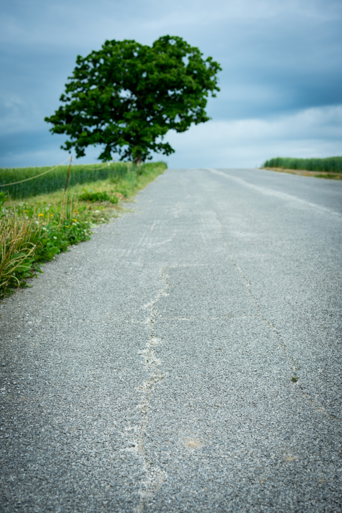 七つの星につづく道