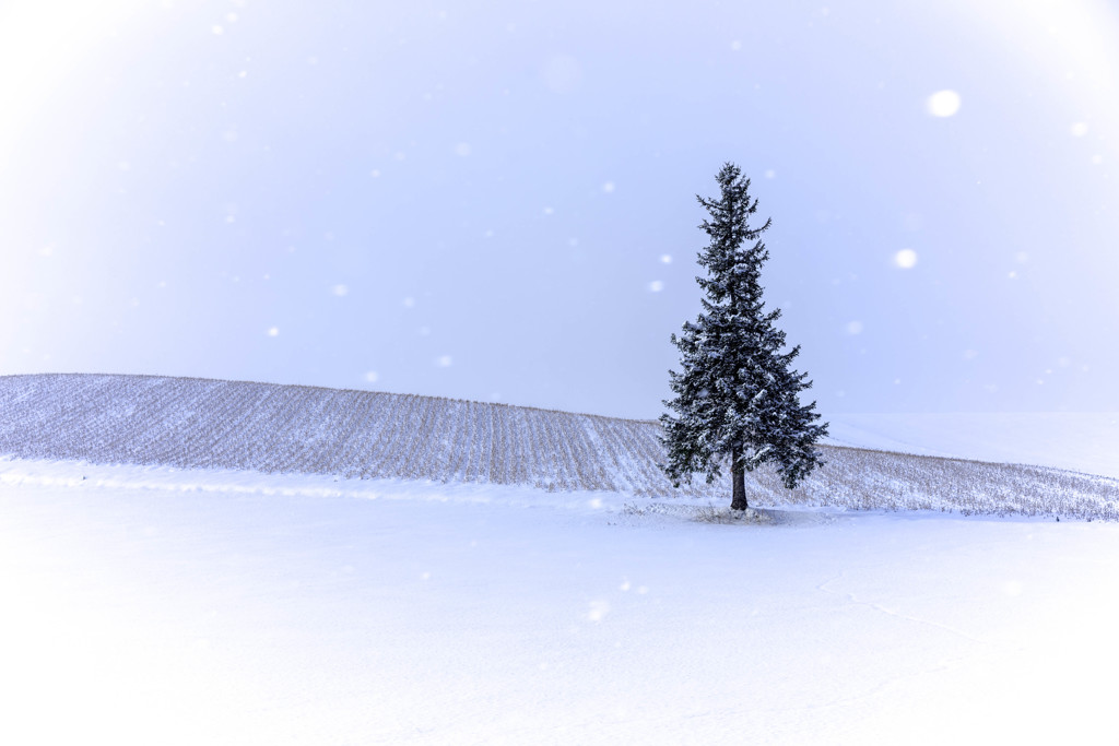 まだまだこれから