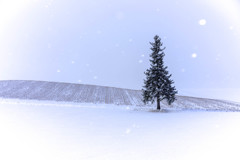 まだまだこれから