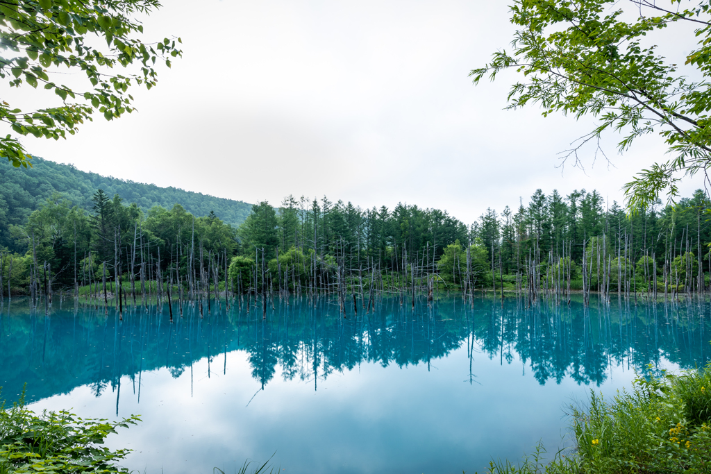 夏の青い池1