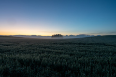 夜明け前いつもの場所で2 夜明け前いつもの場所で2