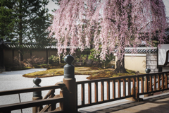 高台寺