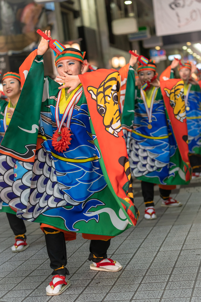 とらっくよさこい1