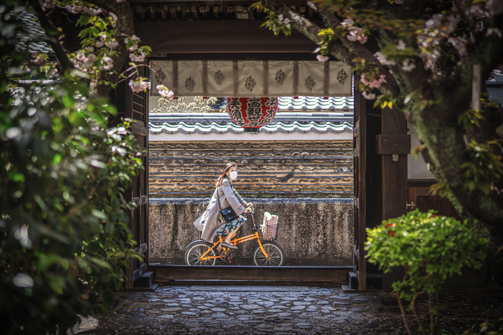 雨宝院5