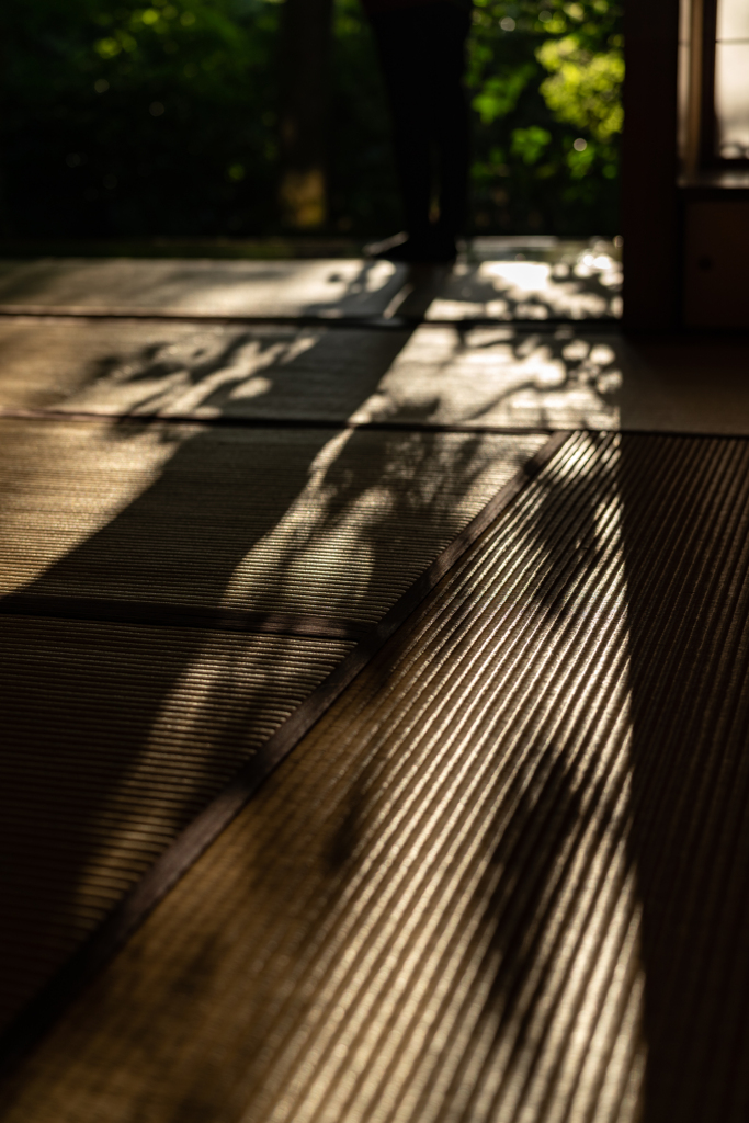 西日差す時間に4