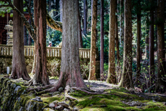 光前寺2