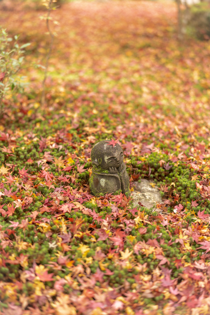 秋の圓光寺2