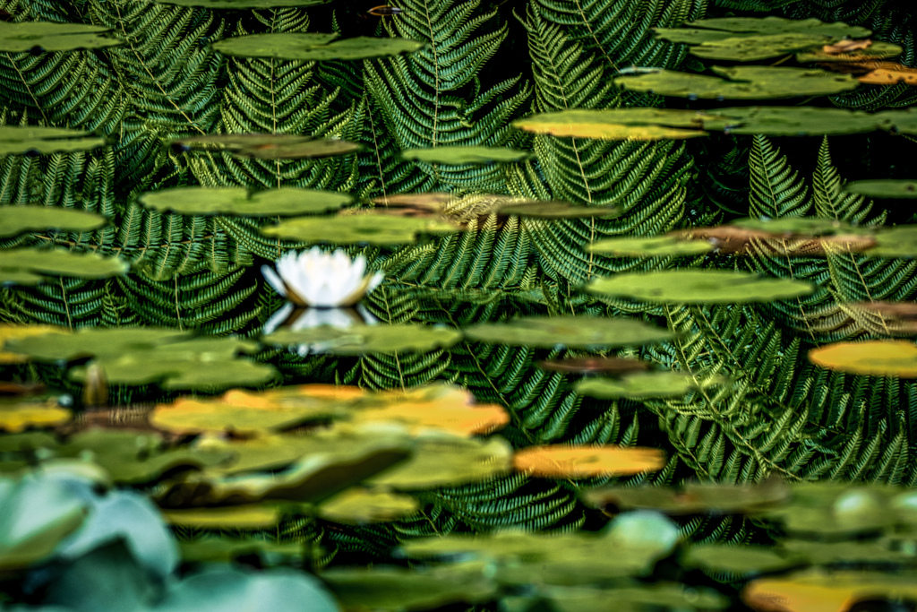 弥生の森リターンズ2