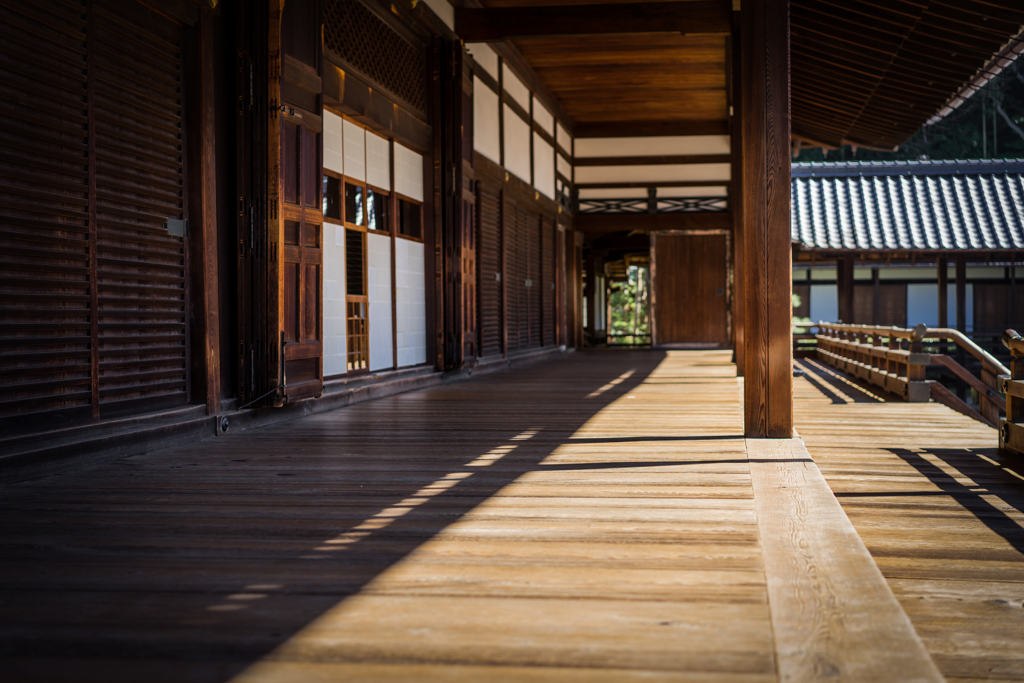 東福寺本坊庭園7