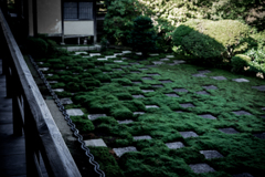 東福寺本坊庭園5