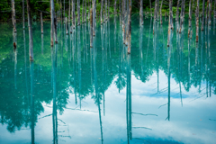 青い池2