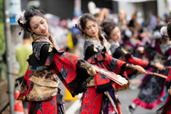 原宿表参道元気祭　常盤2