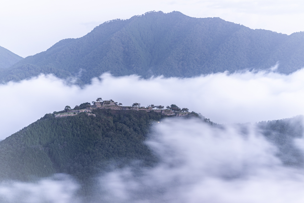 雲海と城跡