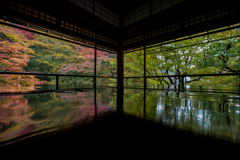 秋の瑠璃光院2