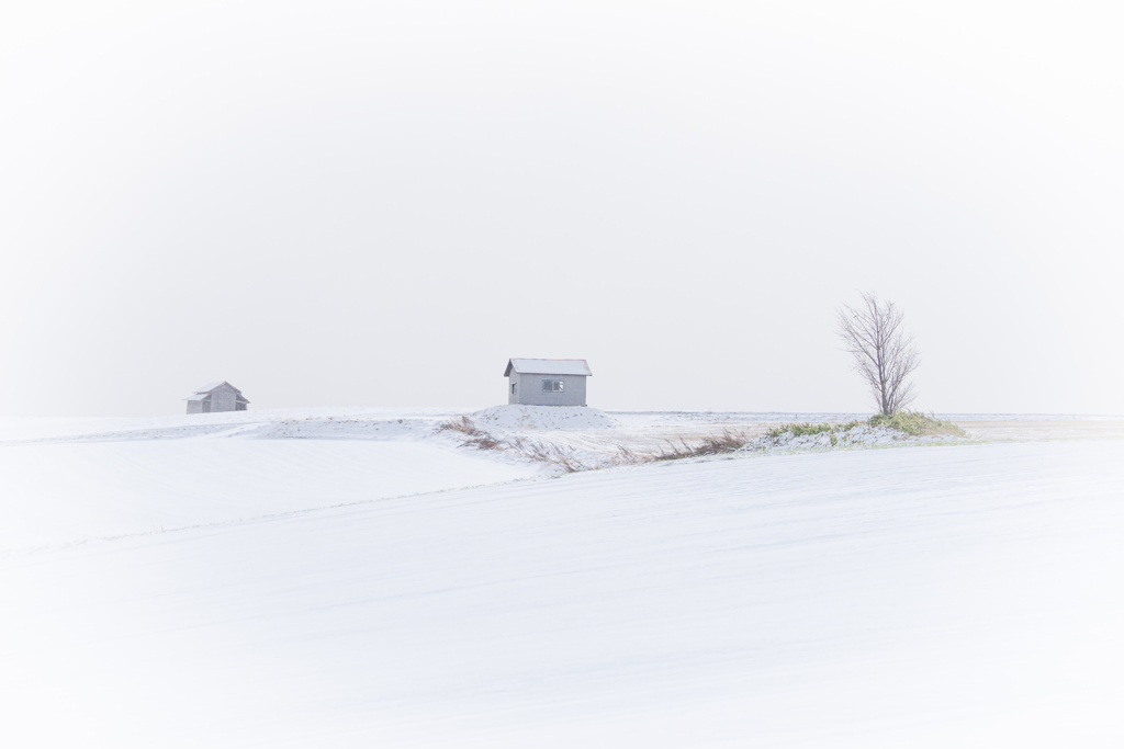 赤い屋根の小屋