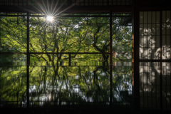 西日差す時間に2