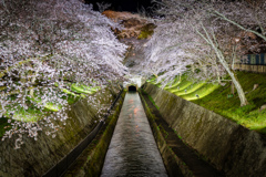 琵琶湖疎水