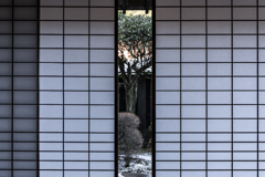 障子をあけたら