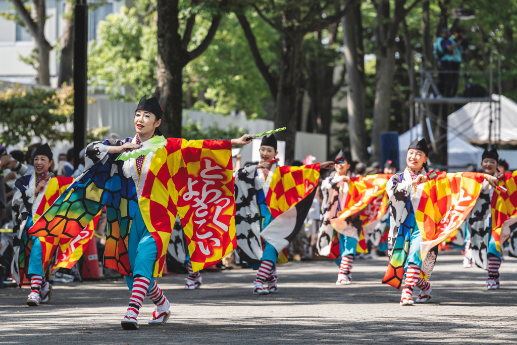 原宿表参道元気祭　とらっくよさこい