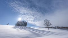 マイルドセブン4