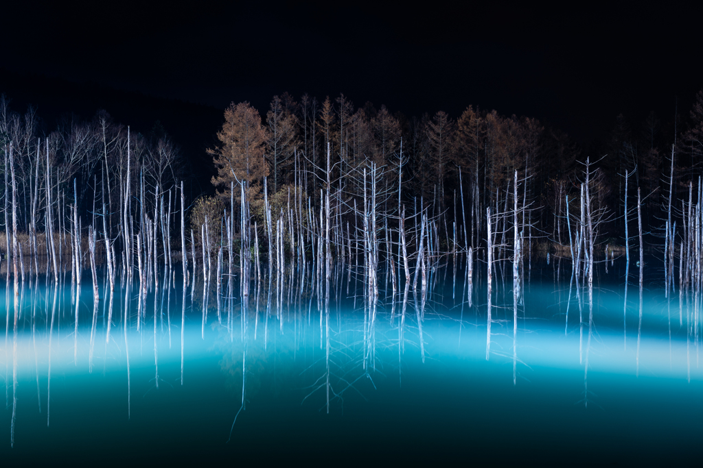 夜の青い池