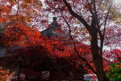 秋の長寿寺2