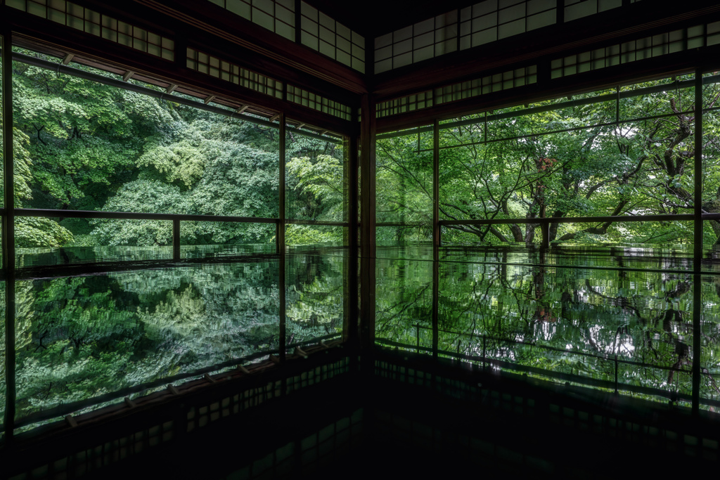 雨の瑠璃光院1
