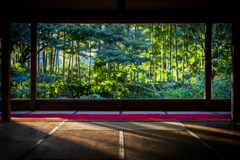 宝泉院初秋3