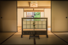 光明院初秋1