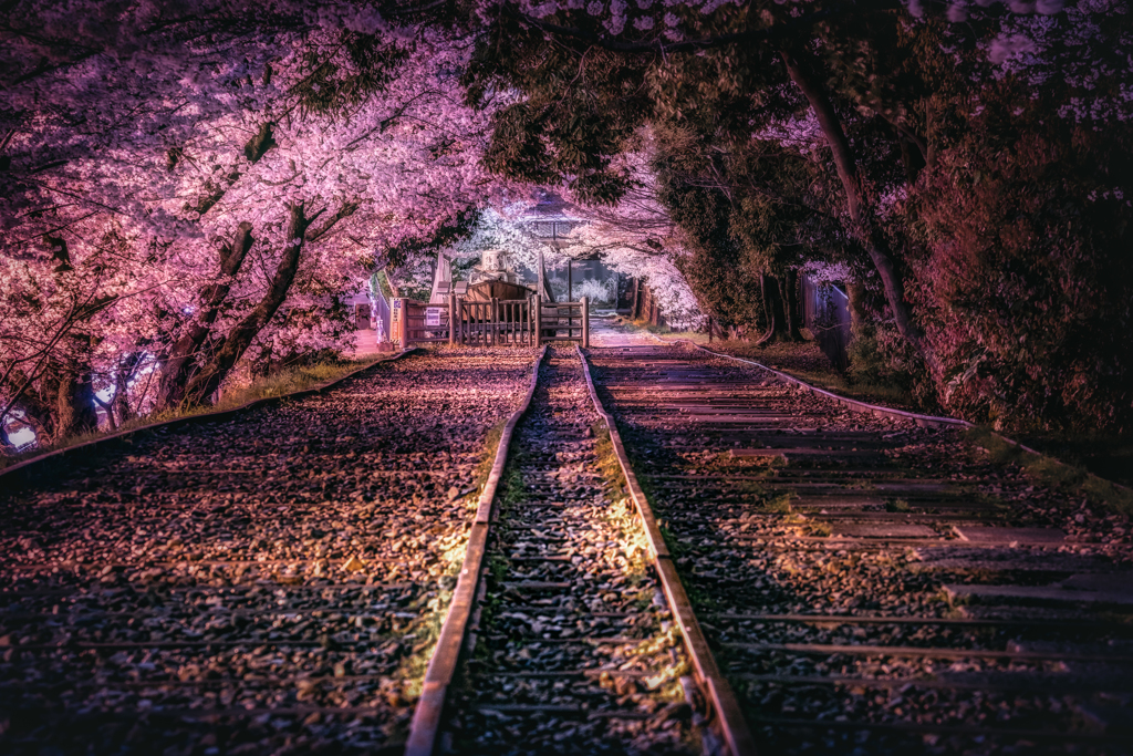 夜の蹴上インクライン4