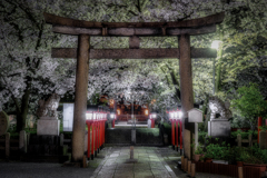 夜の六孫王神社