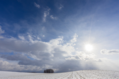 新栄支線　11月　