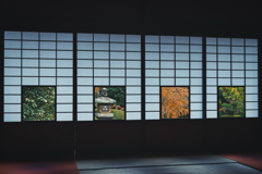 色紙の景色