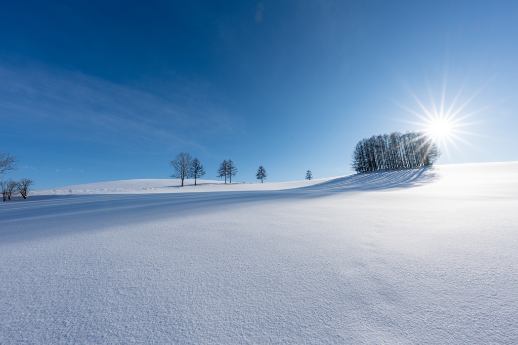 マイルドセブンリターンズ3