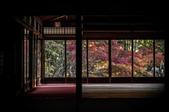 秋の天授庵
