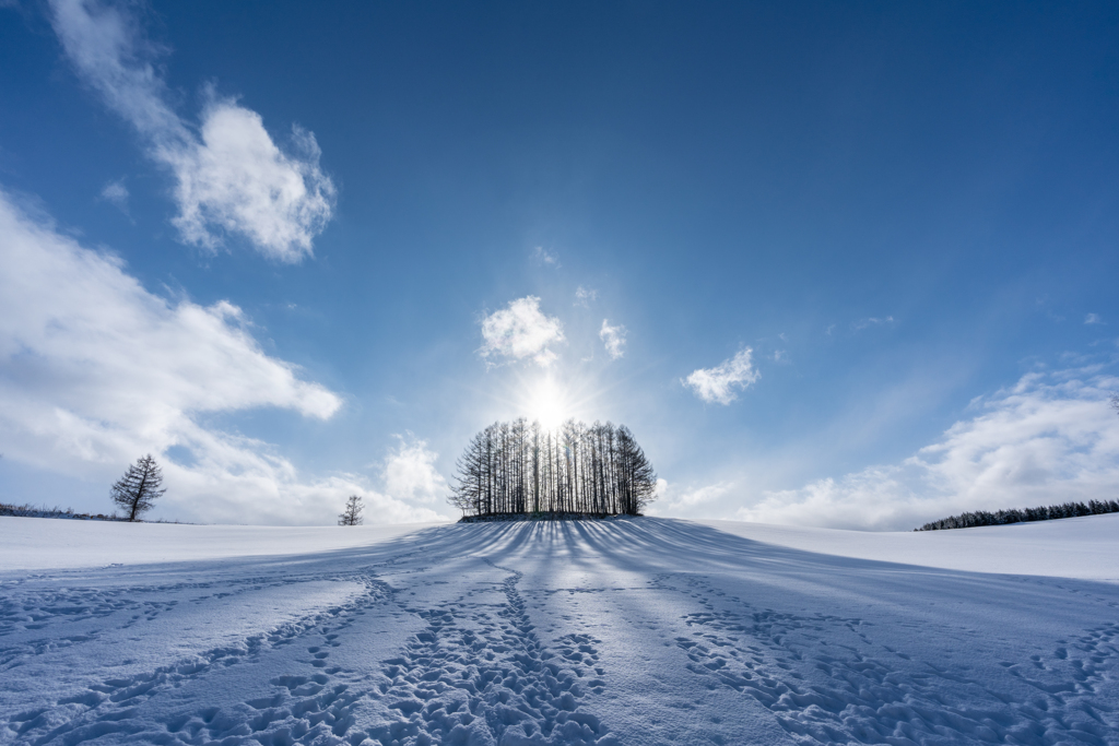 踏み荒らされた雪原で