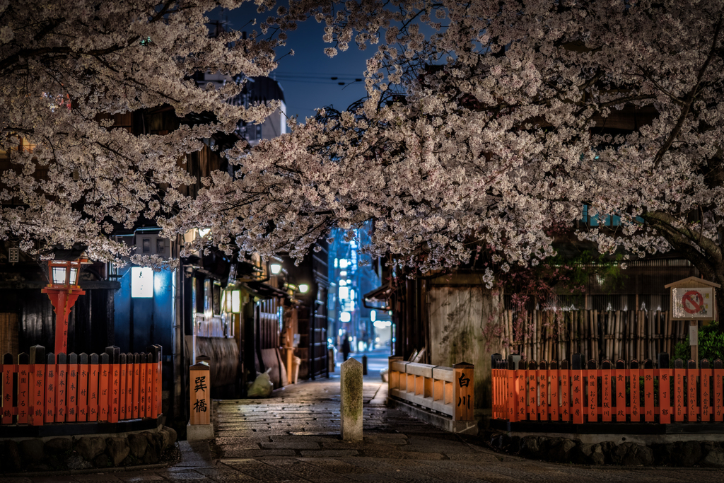 夜の白川巽橋