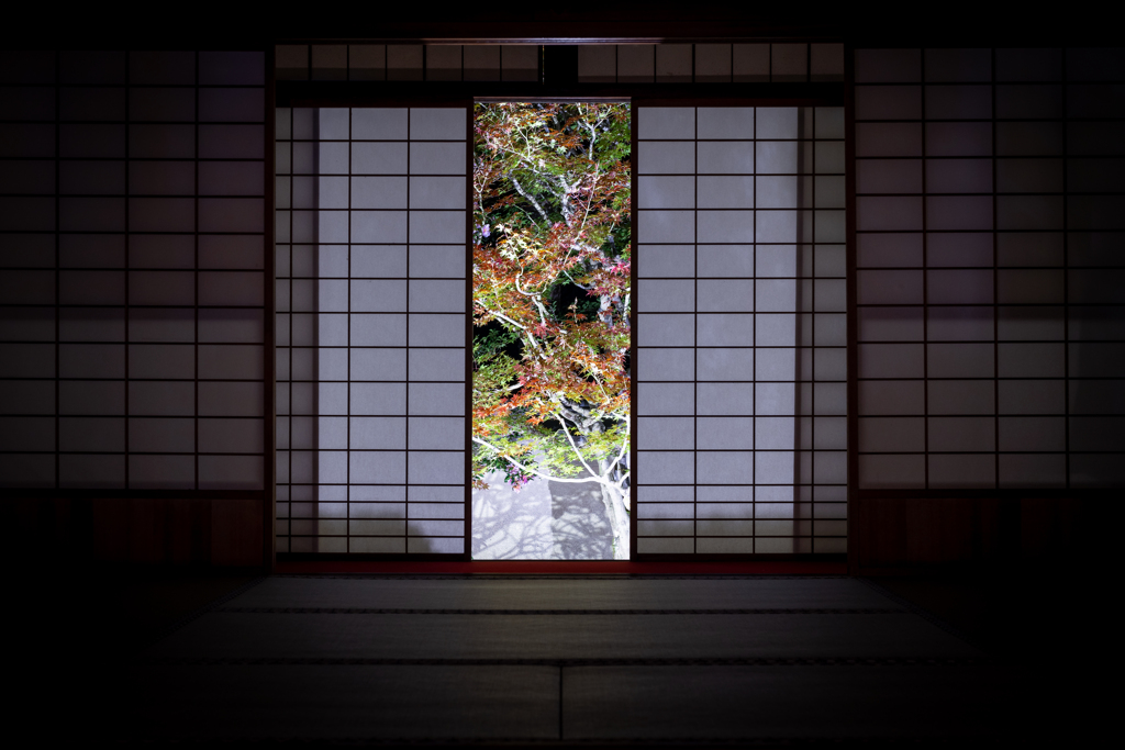 夜の雲龍院2