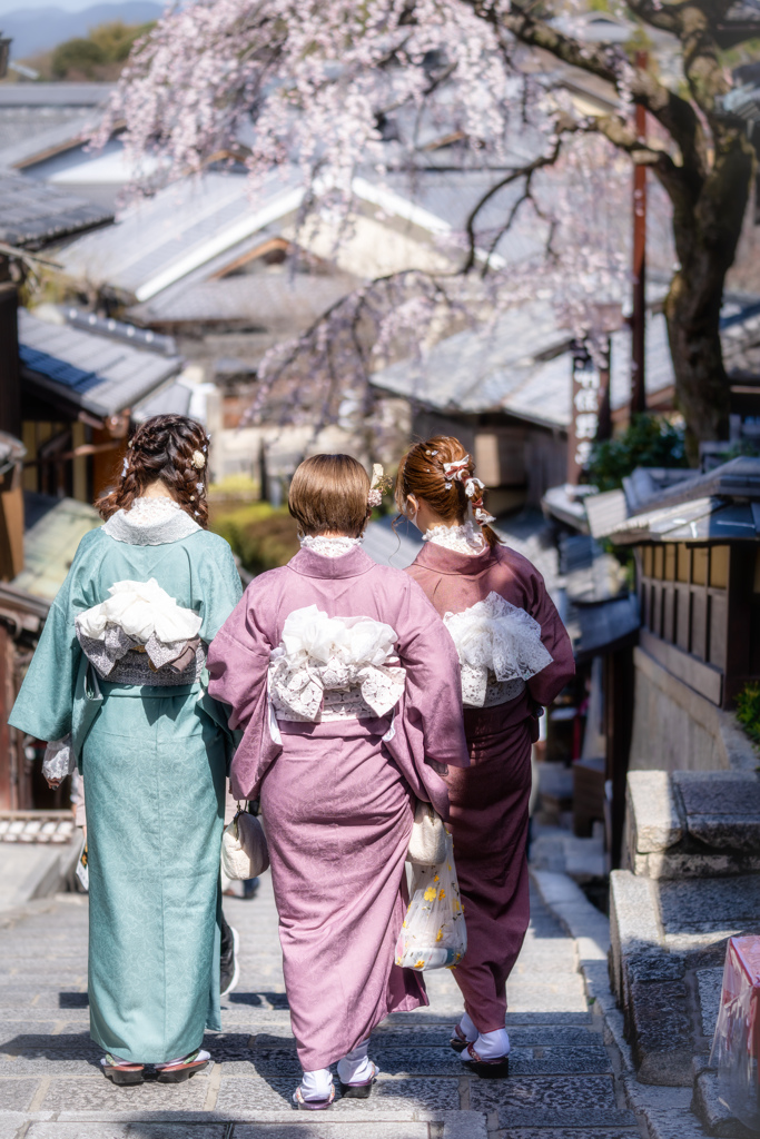 桜の季節がやってきた4